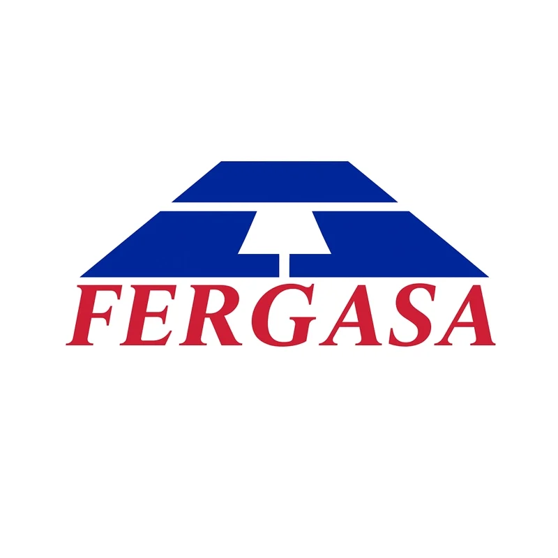 11-fergasa